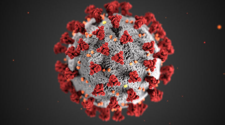 Coronavirus Update #5 - Social Emotional Supports
