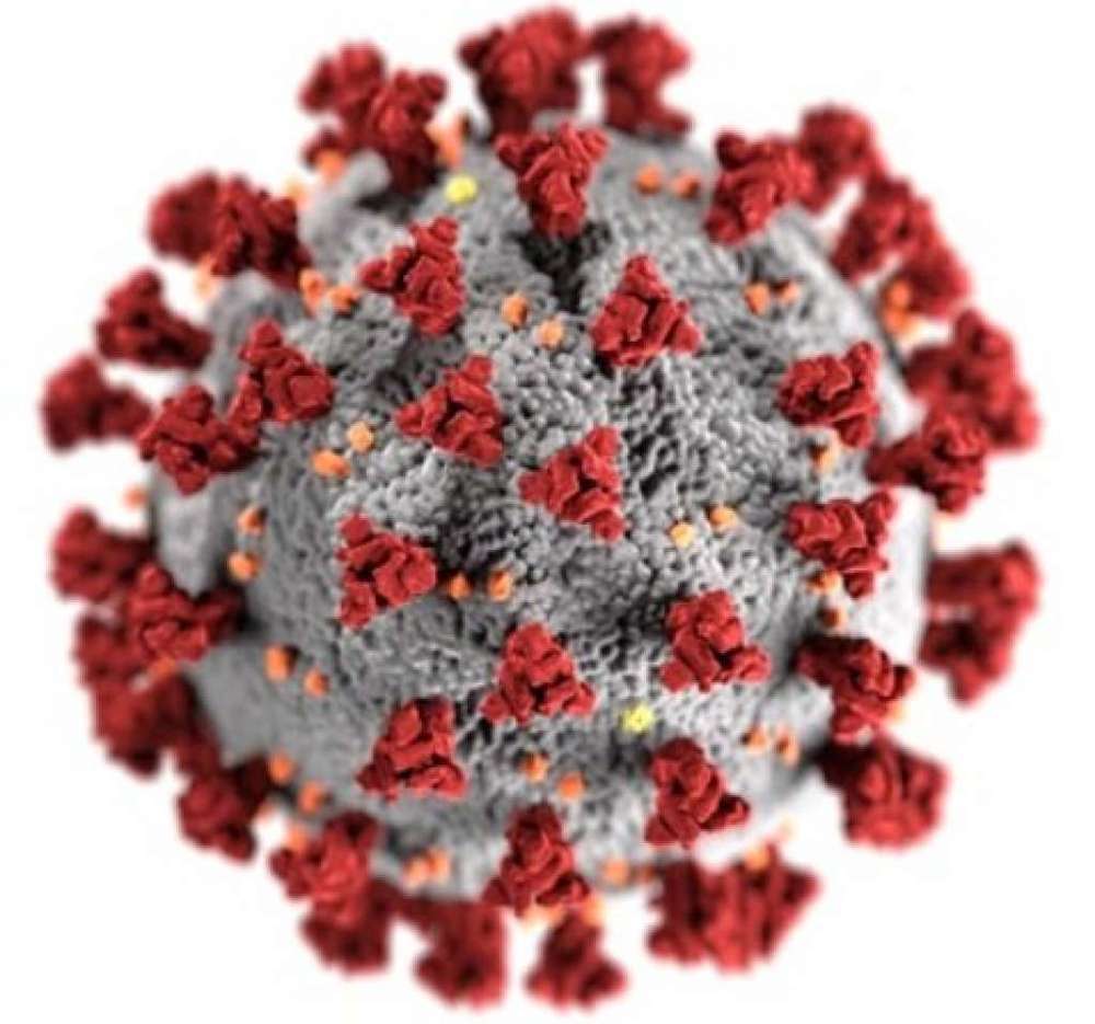 coronavirus