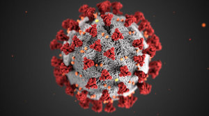 Coronavirus Update #7 - School Closure