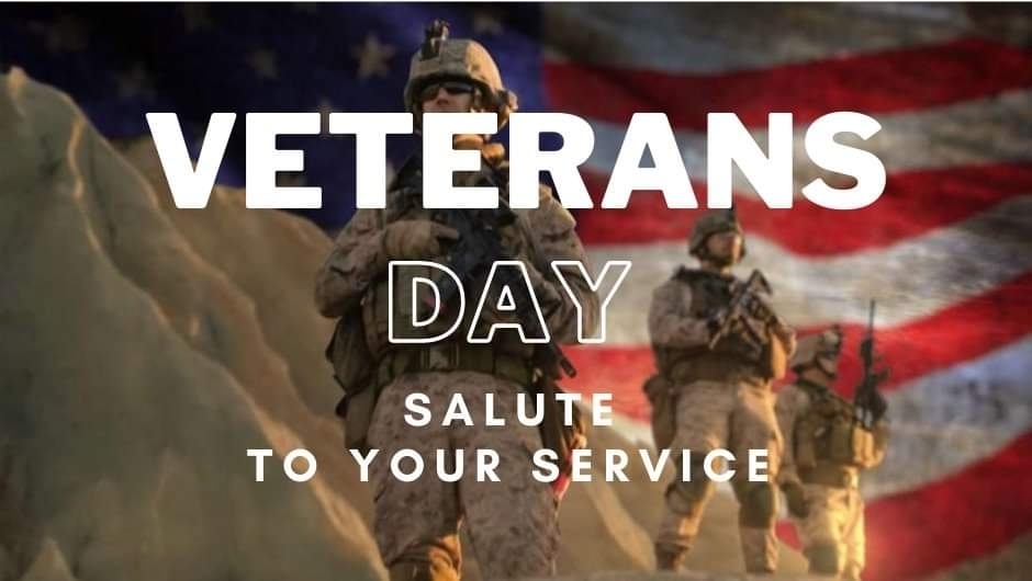 Veterans Day Salute